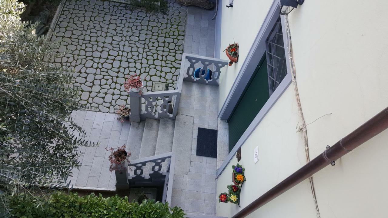 阿雷佐Casa Pettini公寓 外观 照片